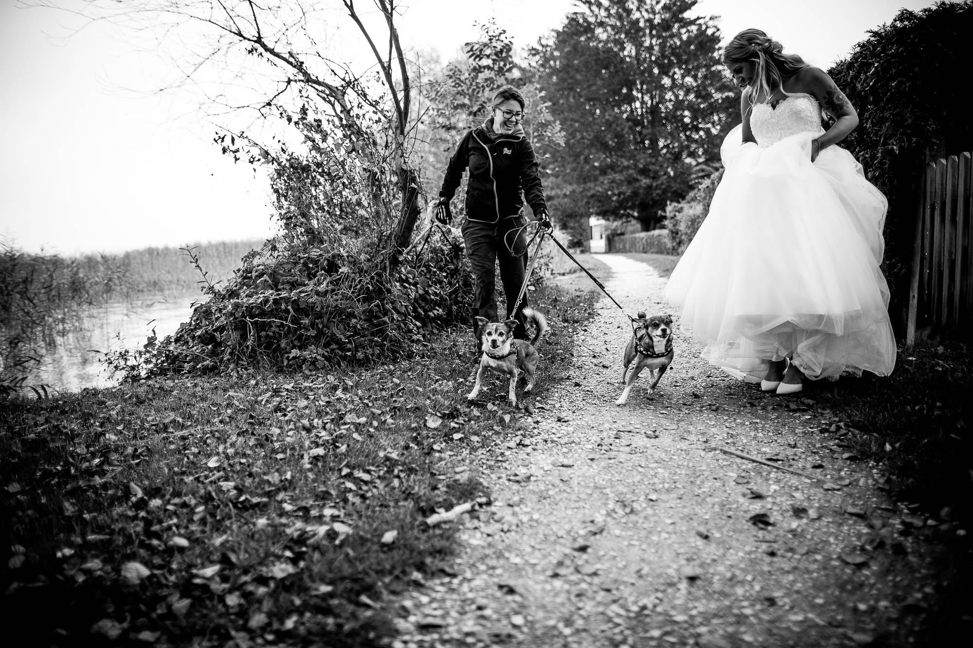 Export x3 1DX26237 Hochzeit 2019 Tatjana und Hermann